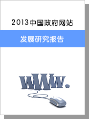 2013年中國(guó)政府網(wǎng)站發(fā)展研究報(bào)告