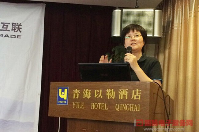 國脈互聯(lián)總經(jīng)理、首席規(guī)劃師鄭愛軍正在進(jìn)行《政府網(wǎng)站+評估體系構(gòu)建思路》的主題演講