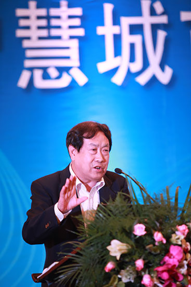 國(guó)家行政學(xué)院教授汪玉凱正在點(diǎn)評(píng)