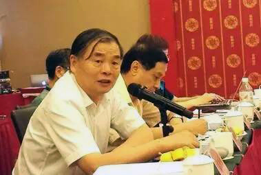 在中國智慧城市發(fā)展與評估指標體系建設專家研討會上，北京大學教授、工信部原副部長楊學山以《新型智慧城市建設與發(fā)展思考》為題發(fā)言