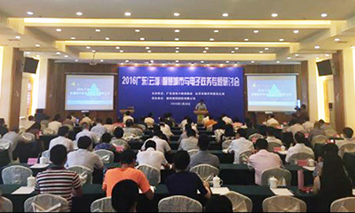 國脈專家鄧凱出席2016廣東云浮智慧城市與電子政務(wù)專題研討會(huì)