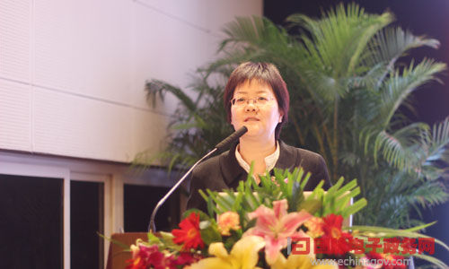 在"2014中國智慧政府發(fā)展年會"上，國脈互聯(lián)總經(jīng)理、首席規(guī)劃師鄭愛軍發(fā)表主題演講